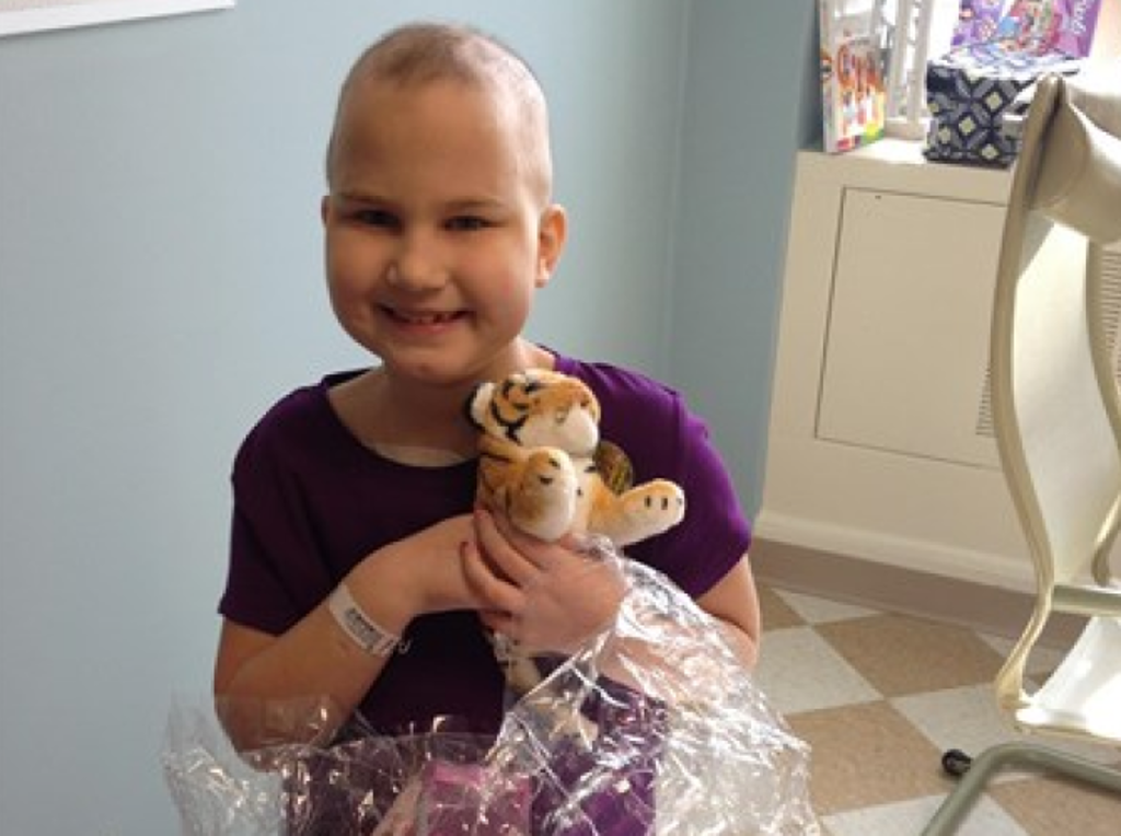 What's in the Basket